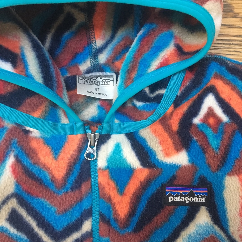 Patagonia Synchilla Fleece